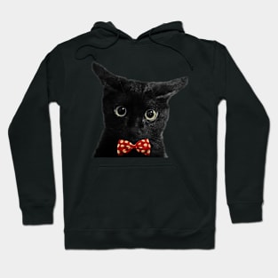 Black kitty Hoodie